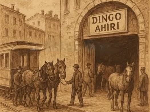 DİNGO’NUN AHIRI DEYİMİ NEREDEN GELİR