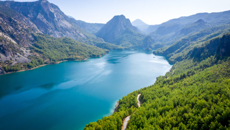 Su ve Orman: Doğanın, Refahın ve Eşitliğin Temel Taşları