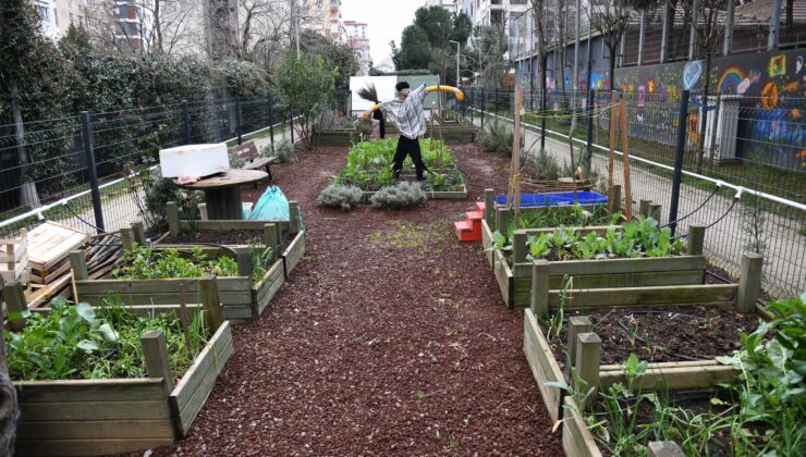 Kadıköy’de Ekolojik Yaşam Merkezi’nde Atölyeler Sürüyor