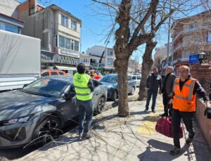 Ardahan Belediye Ekipleri Ağaç Budama Çalışması