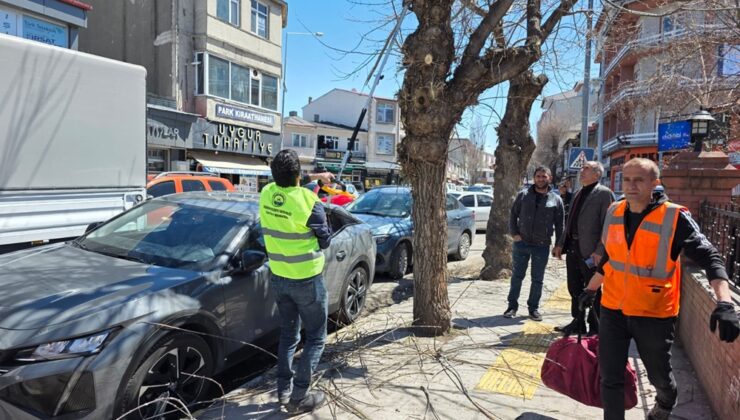 Ardahan Belediye Ekipleri Ağaç Budama Çalışması