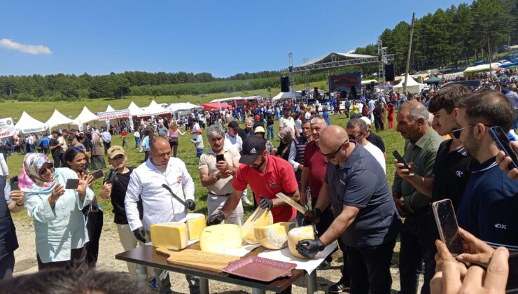 Göle’de Kaşar Festivali Coşkusu Vardı