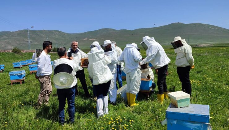SERKA’dan Kars’ta Arıcılara Ana Arı Yetiştiriciliği Eğitimi