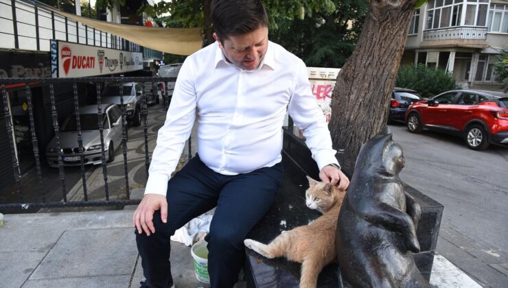 Kösedağı; Kadıköy’de Her Canlının Eşit Yaşam Hakkı Vardır