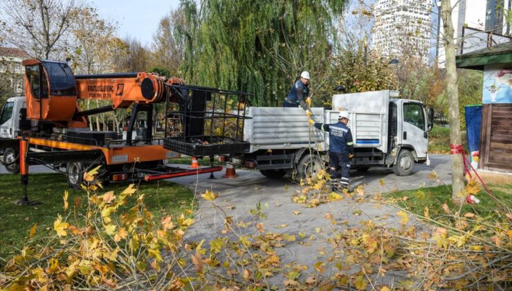 Esenyurt’ta Ağaçlara Kış Bakımı Yapılıyor