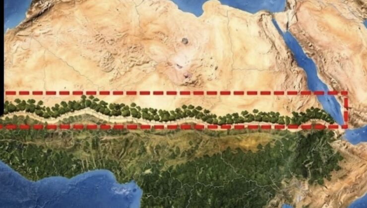 Afrika’da Büyük Yeşil Duvar Projesi