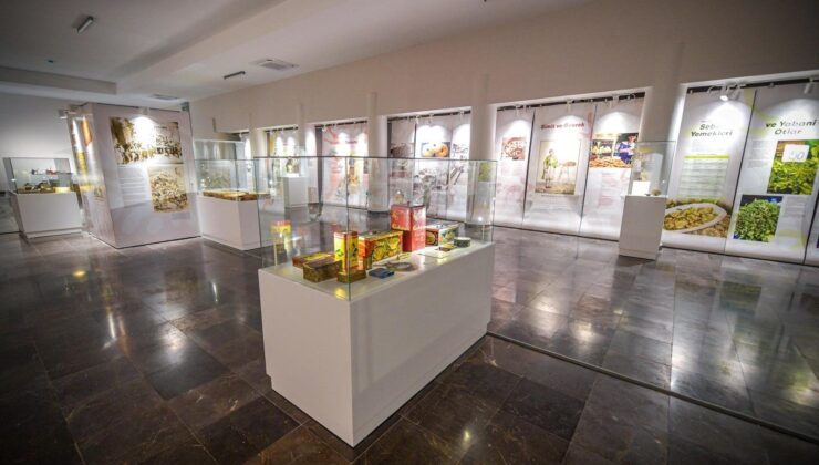 İzmir Mutfak Müzesi ile yemek kültürüne yolculuk